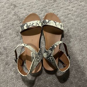 Steve Madden Women’s Sandals